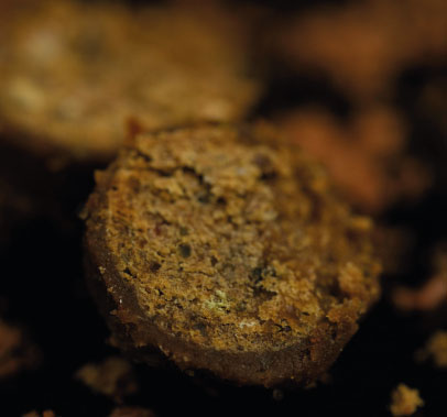 Boillies, Pellets & Food Bait